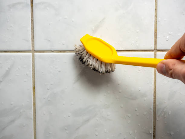 Best Mold Removal Specialists  in Blue Island, IL